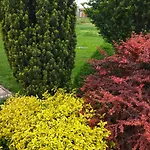 Vila Flower Deluxe Kostolne Kracany
