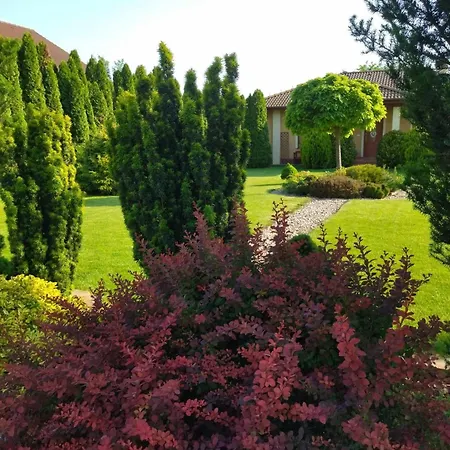 Flower Deluxe * Kostolne Kracany