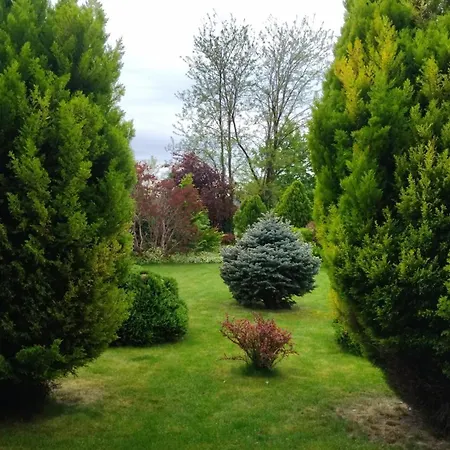 Flower Deluxe Kostolne Kracany