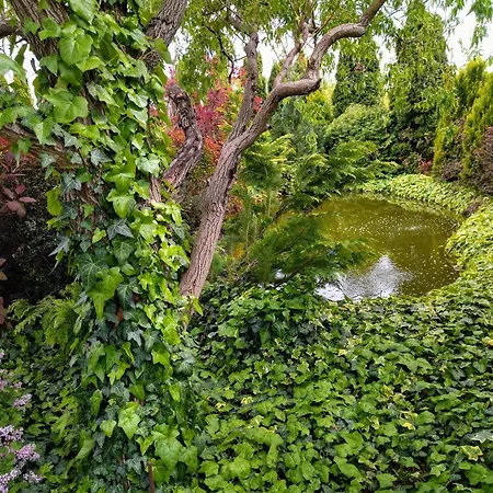 Villa Flower Deluxe *