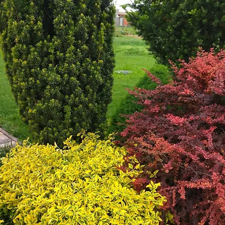 Villa Flower Deluxe Kostolne Kracany