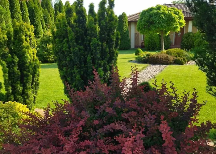 Flower Deluxe * Kostolne Kracany