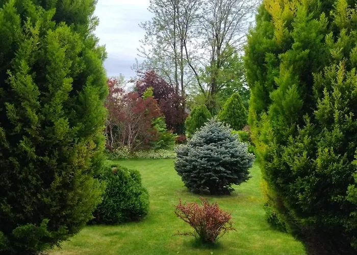 Flower Deluxe Kostolne Kracany