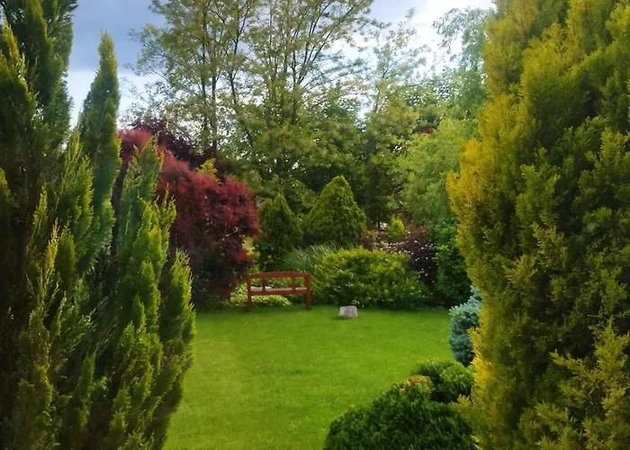 Willa Flower Deluxe *