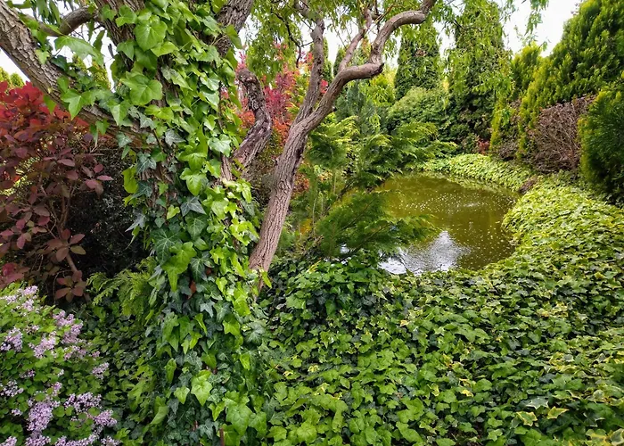 빌라 Flower Deluxe *