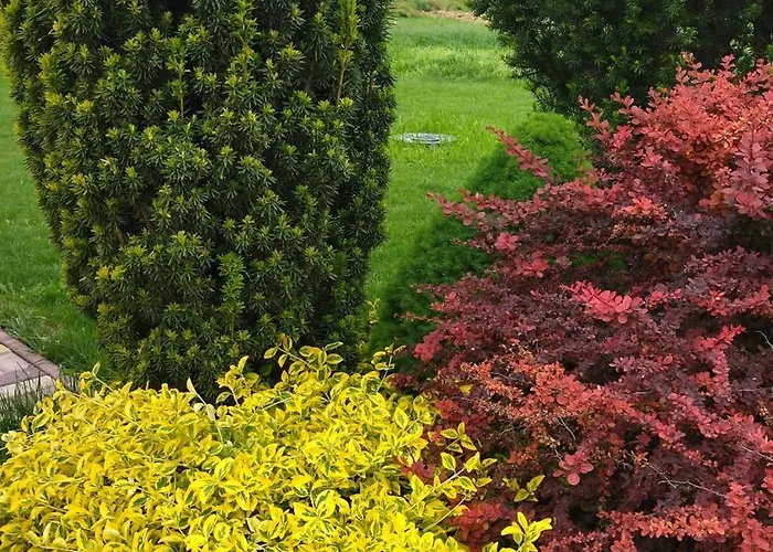 빌라 Flower Deluxe Kostolne Kracany