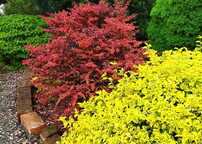 빌라 Flower Deluxe Kostolne Kracany