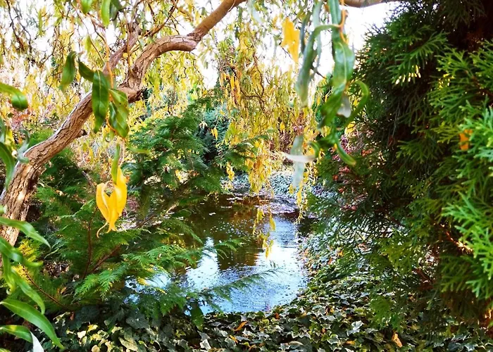 빌라 Flower Deluxe